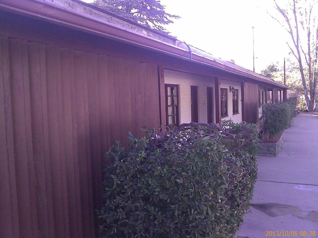 טהאצ'פי Ranch Motel מראה חיצוני תמונה