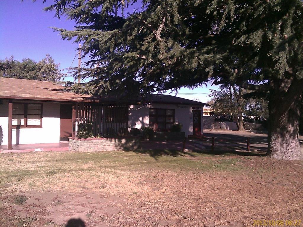 טהאצ'פי Ranch Motel מראה חיצוני תמונה