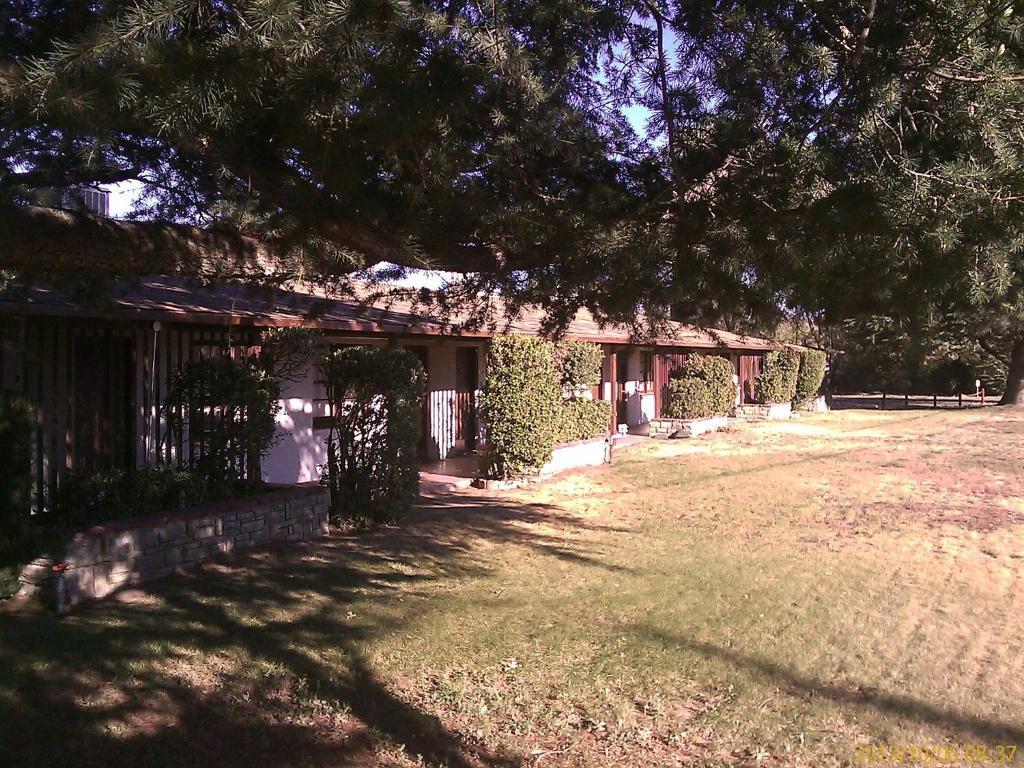 טהאצ'פי Ranch Motel מראה חיצוני תמונה